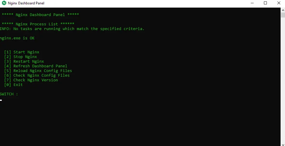 Nginx Dashboard Panel
